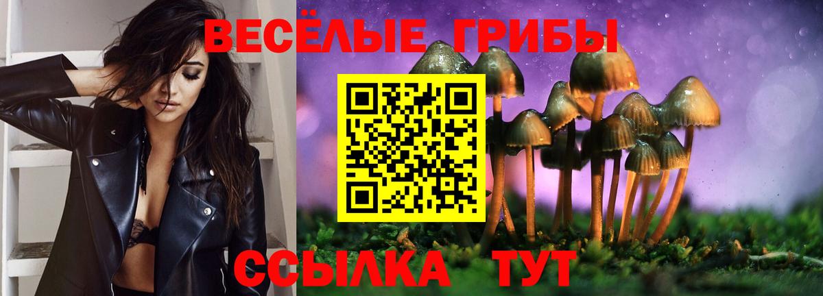 Галлюциногенные грибы Psilocybine cubensis Выборг